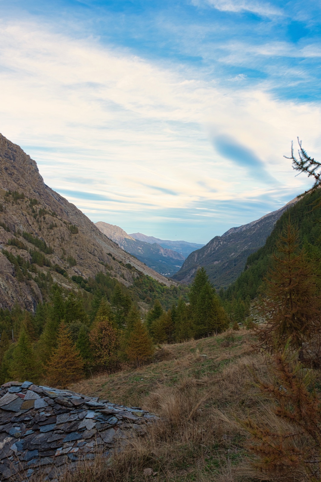 Valle profonda tra montagne boscose, sotto un cielo con lunghe nuvole bianche