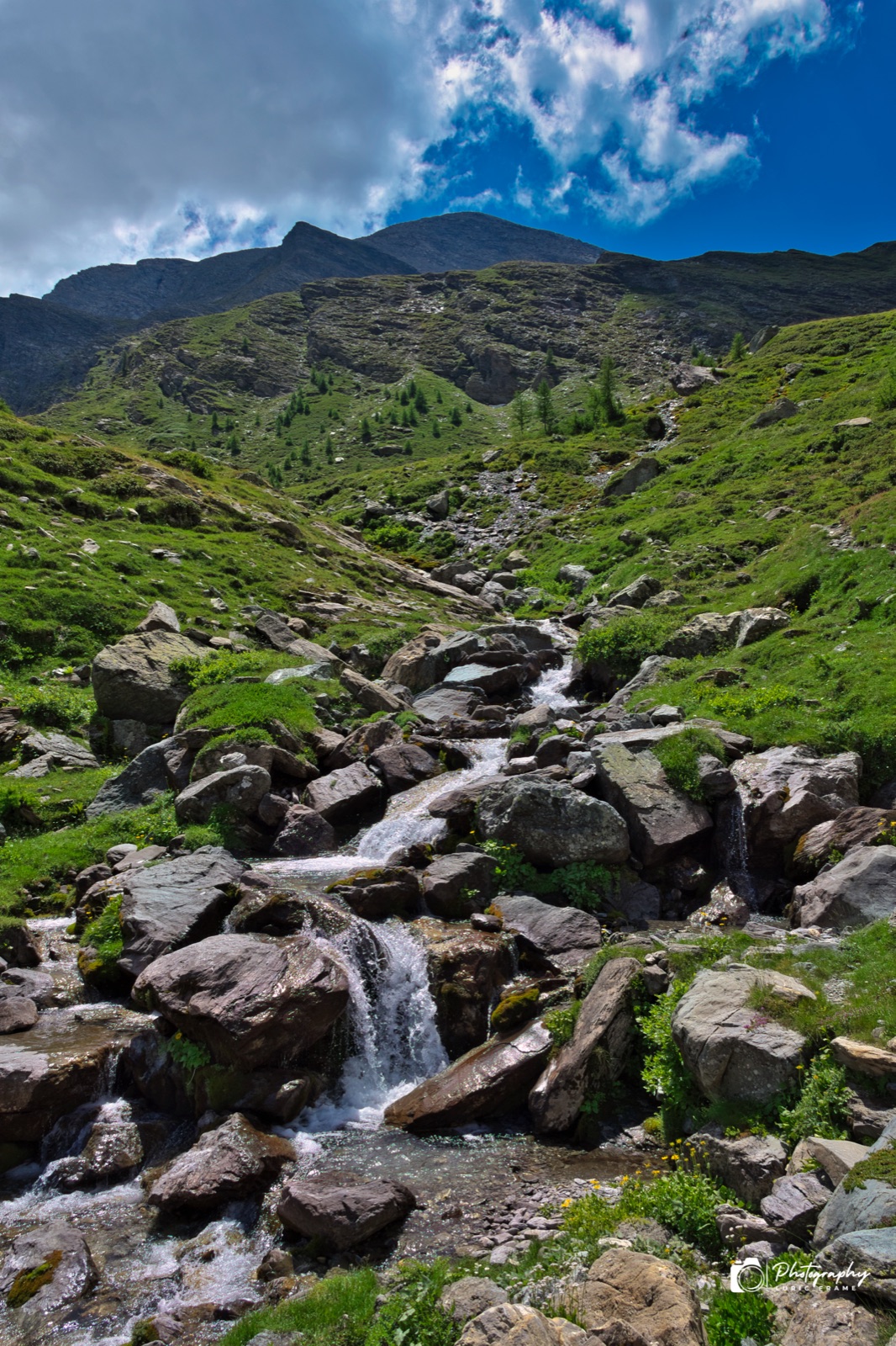 Torrente che scorre tra i massi in un prato di montagna, sotto un cielo azzurro con nuvole bianche