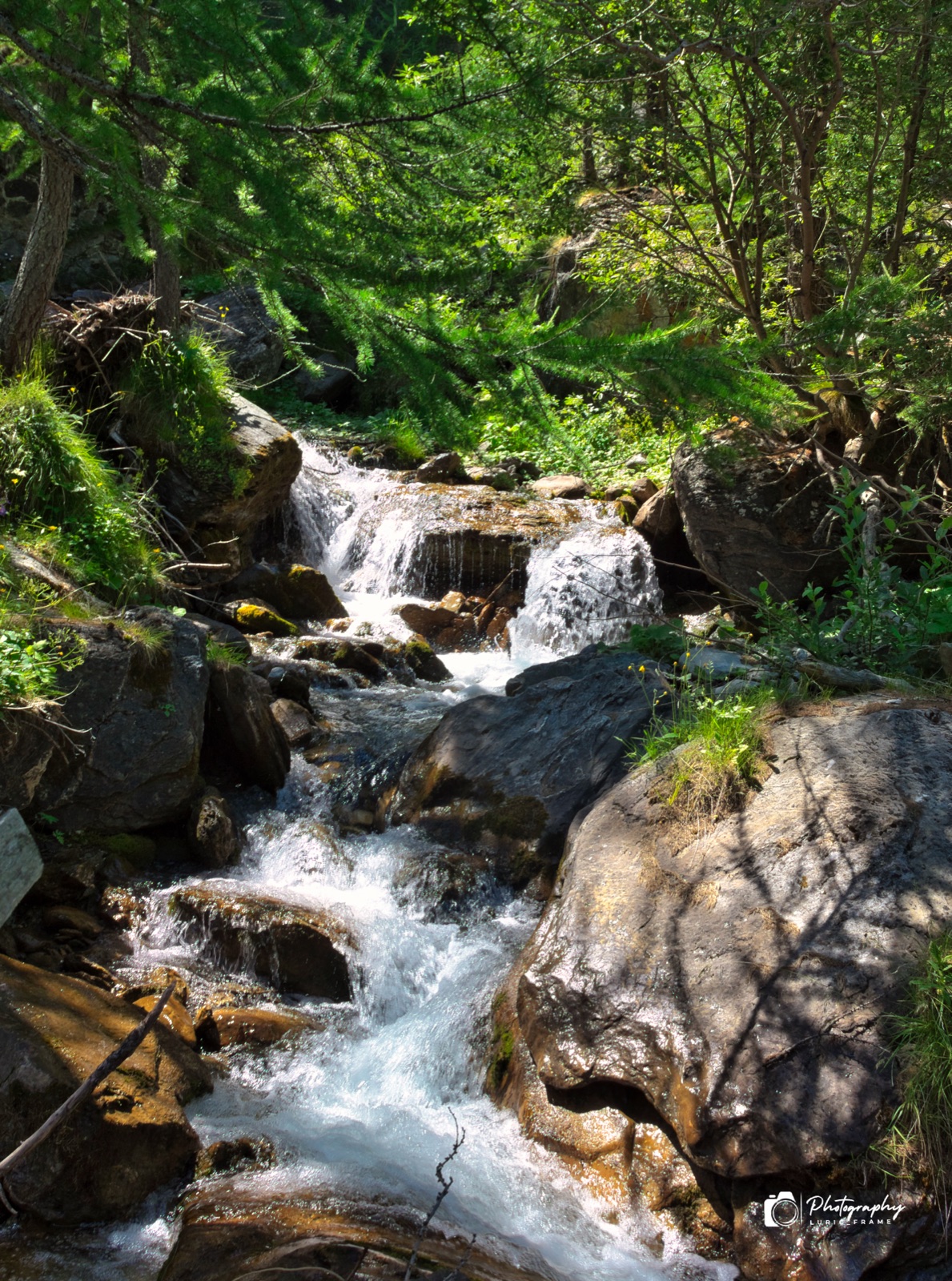 Torrente che scende tra grandi massi in un bosco verde, formando piccole cascate