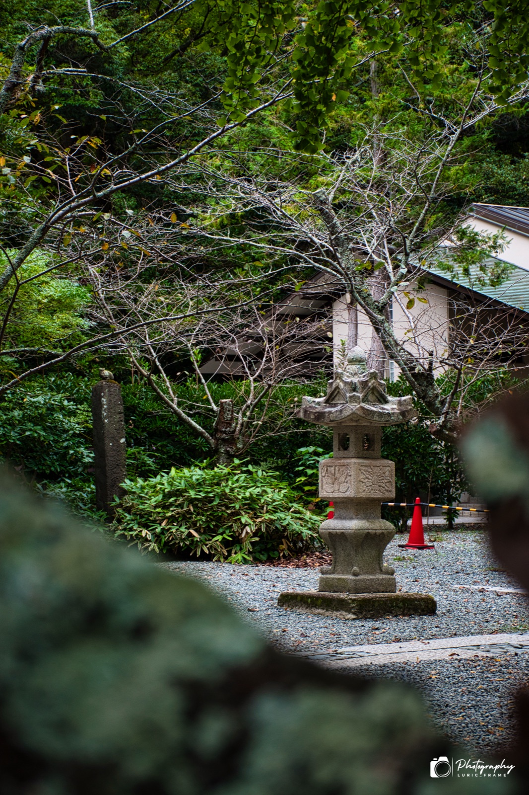 Giardino di un tempio con una lanterna di pietra tra alberi e cespugli, visto attraverso il fogliame