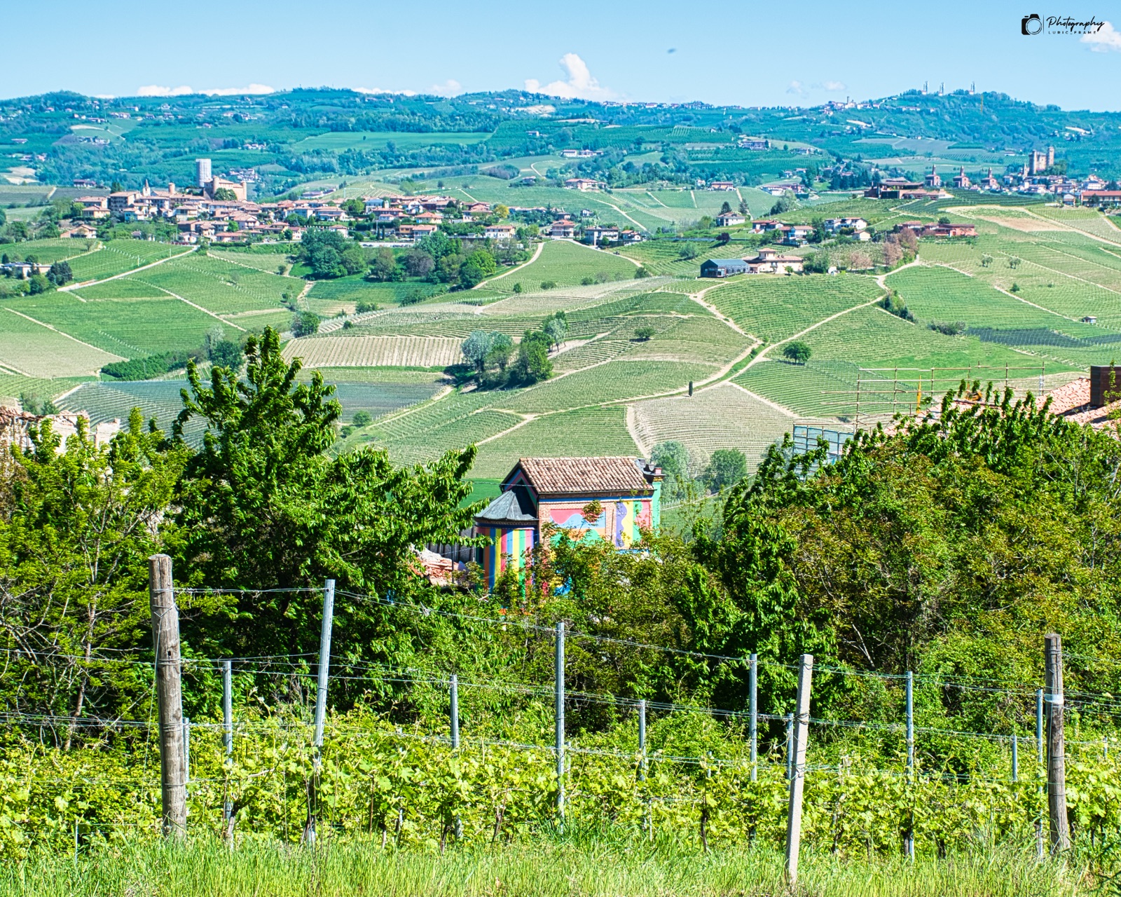 Colline coperte di vigneti e boschi sotto un cielo azzurro, con un paese lontano e un filare in primo piano